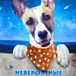 Невероятные приключения Гампи